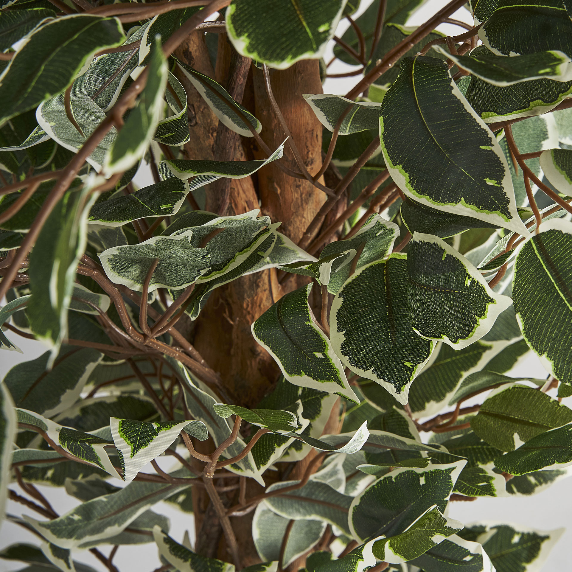Искусственное растение FICUS Vical