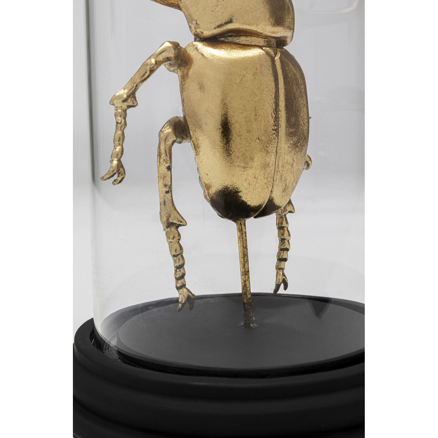 Объект декоративный Bell Jar Stag Beetle 20cm KARE 57719