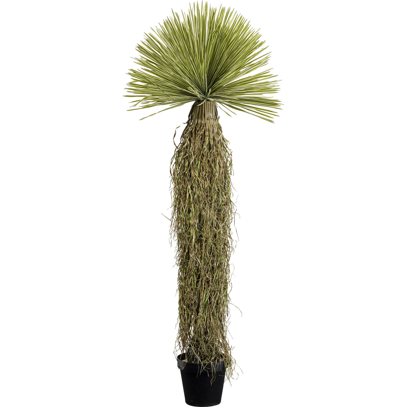 Растение декоративное Yucca 180 см KARE 55919