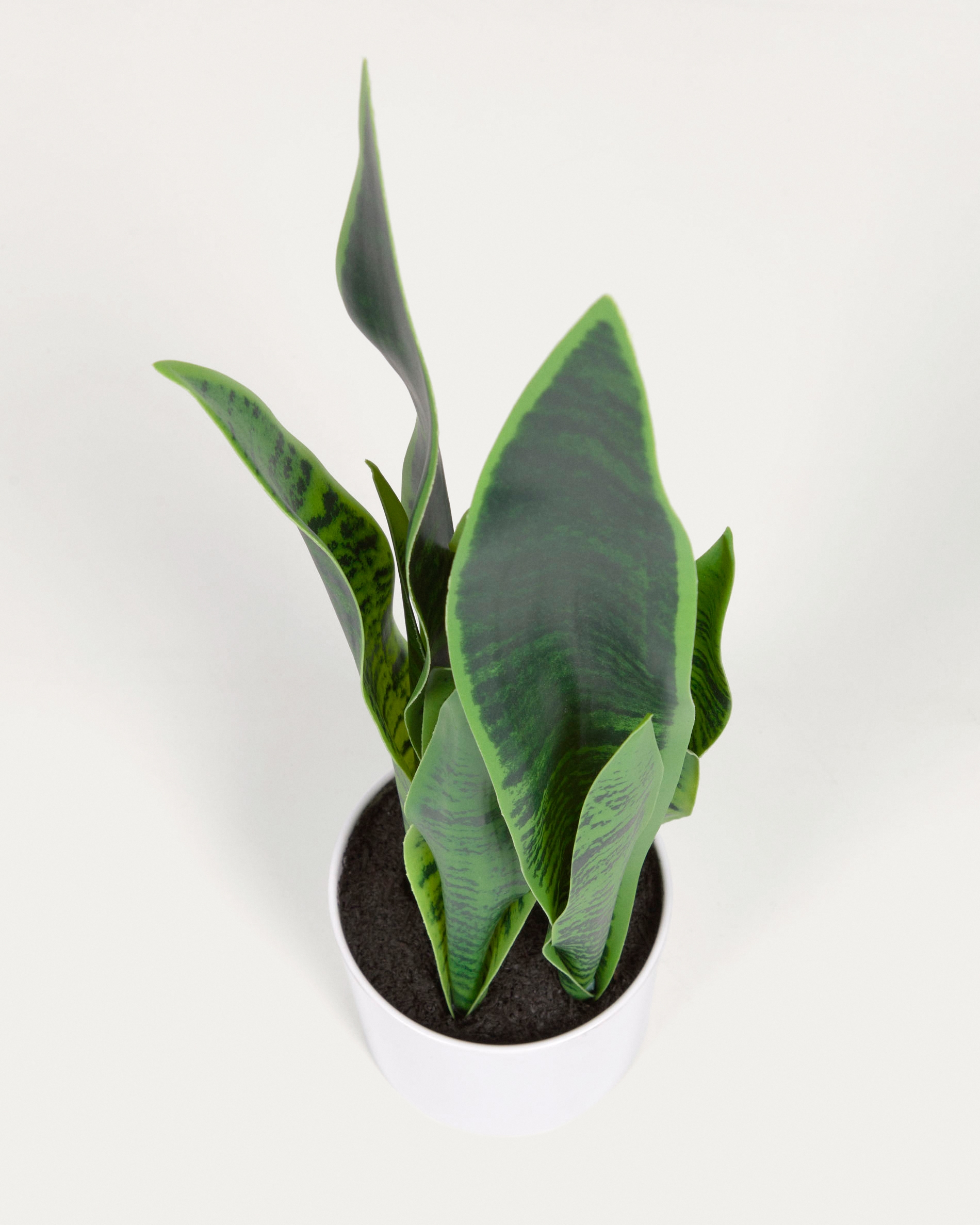 Искусственное растение Sansevieria с белым горшком 55 см La Forma (ex Julia Grup)