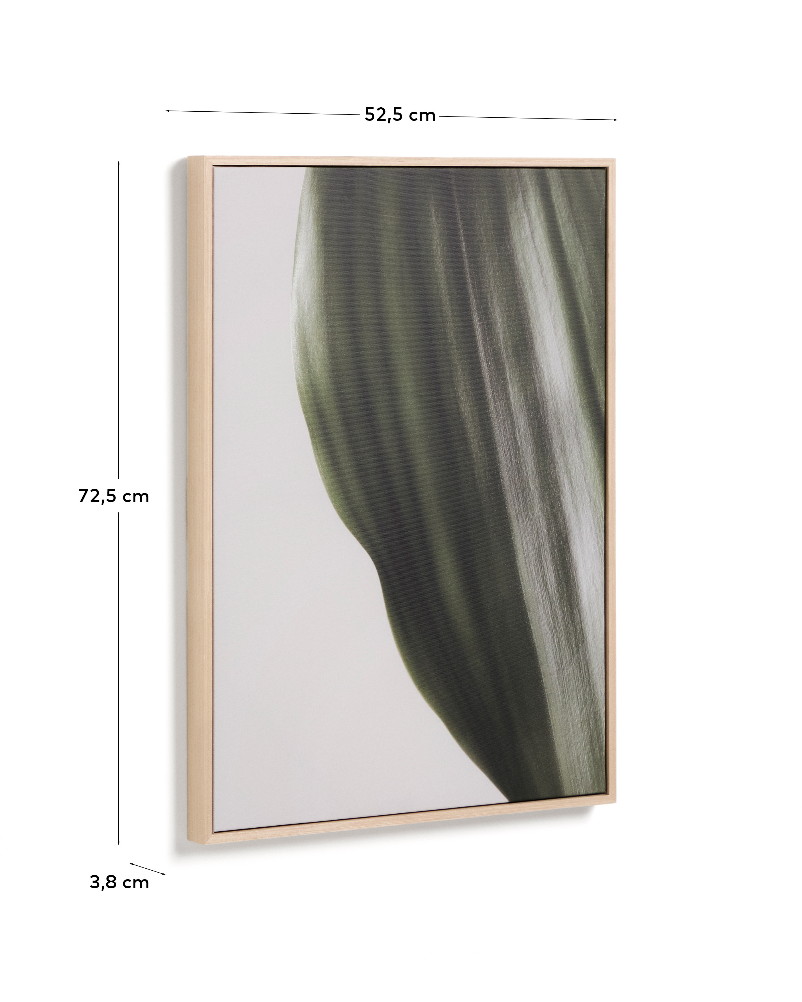 Фотография листа Foliae размер 52 x 72 см La Forma 481675