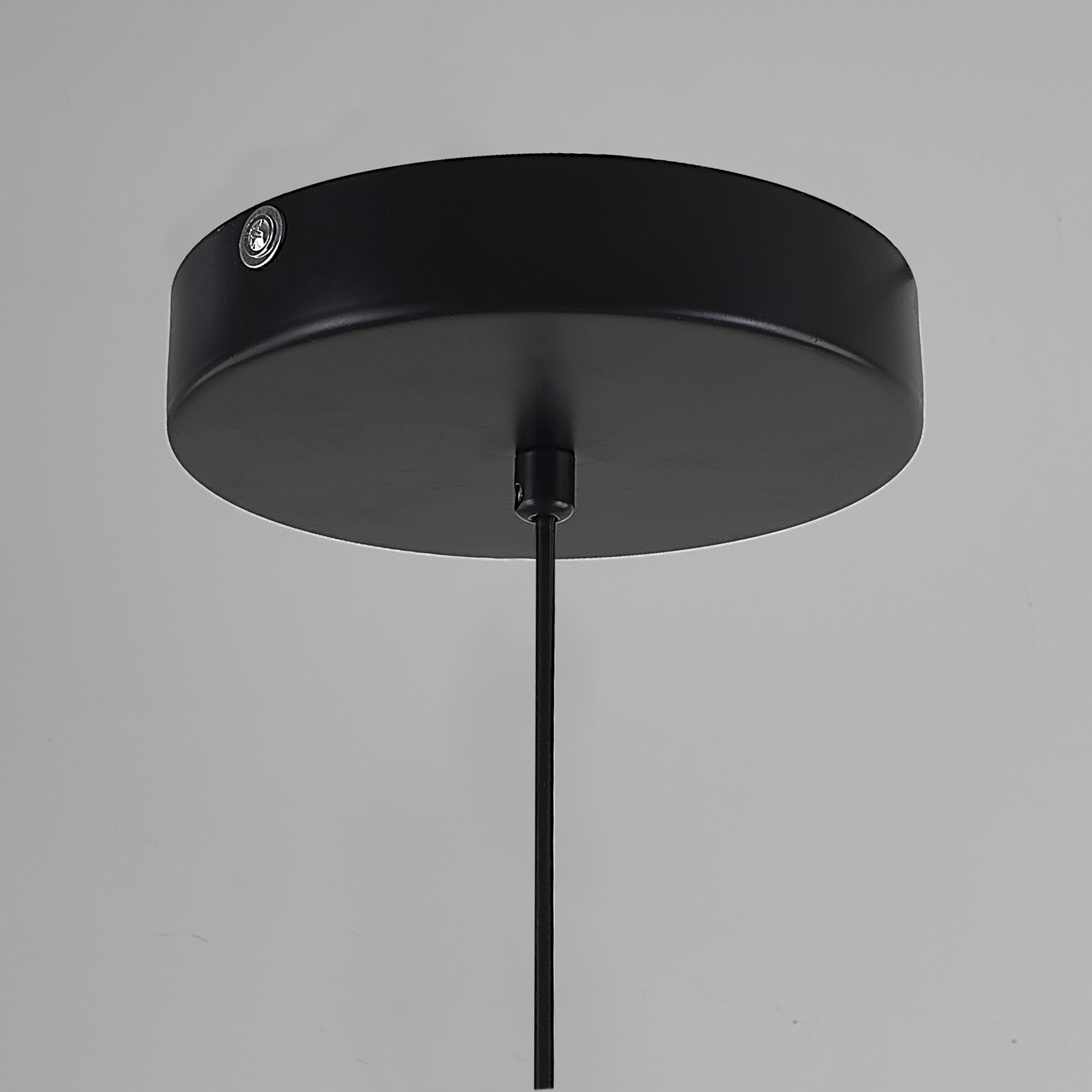 Подвесной светильник SUSPENSION CERCLE ET TRAIT – GRAPHITE SATINE L170 by ImperiumLoft