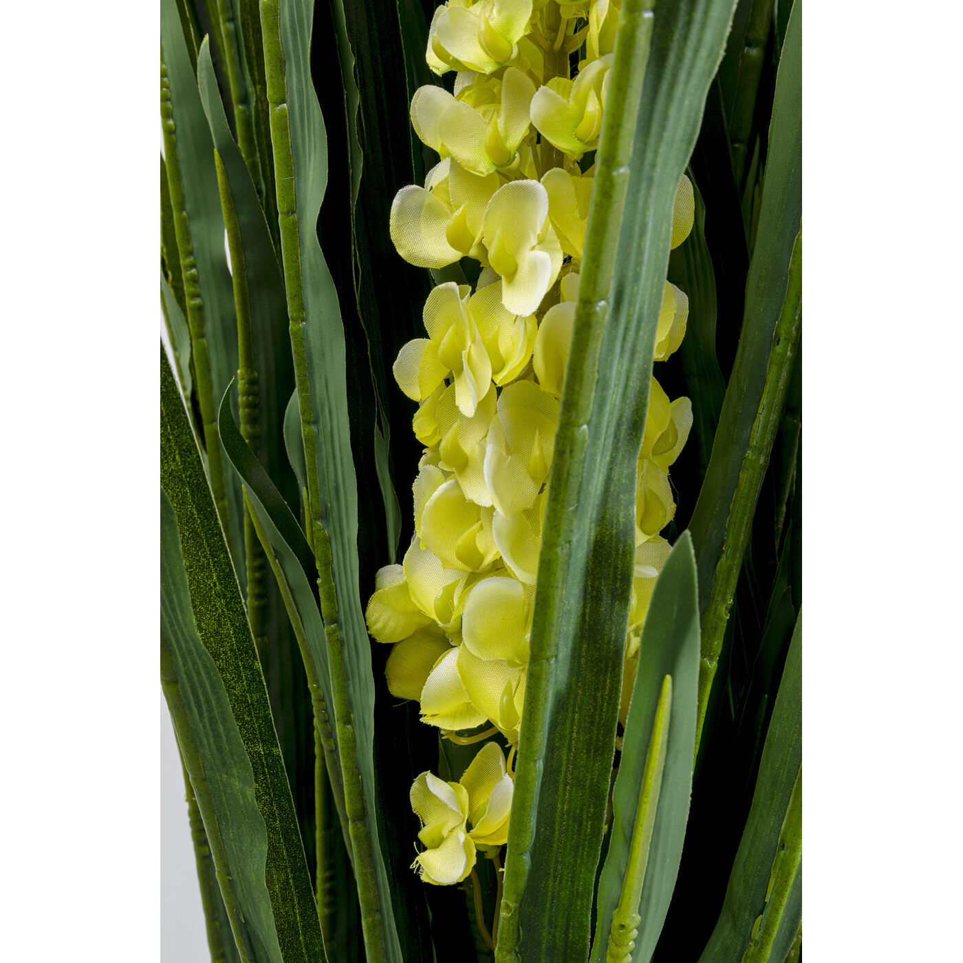 Растение декоративное Rhynchostylis 55 см KARE 55913
