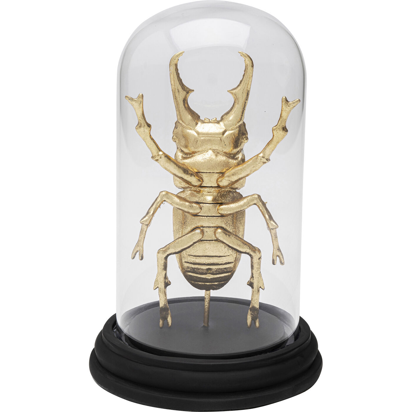 Объект декоративный Bell Jar Hercules Beetle 20cm KARE 57720