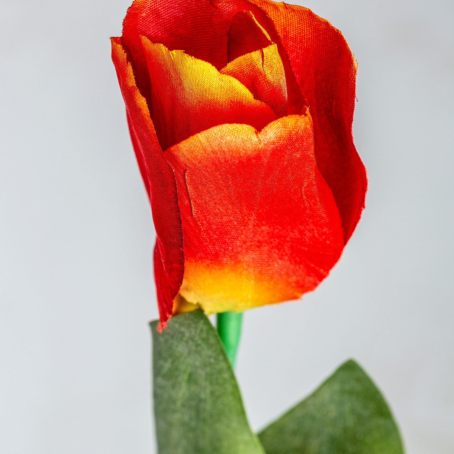 Цветок TULIPAN в оранжевом цвете Vical