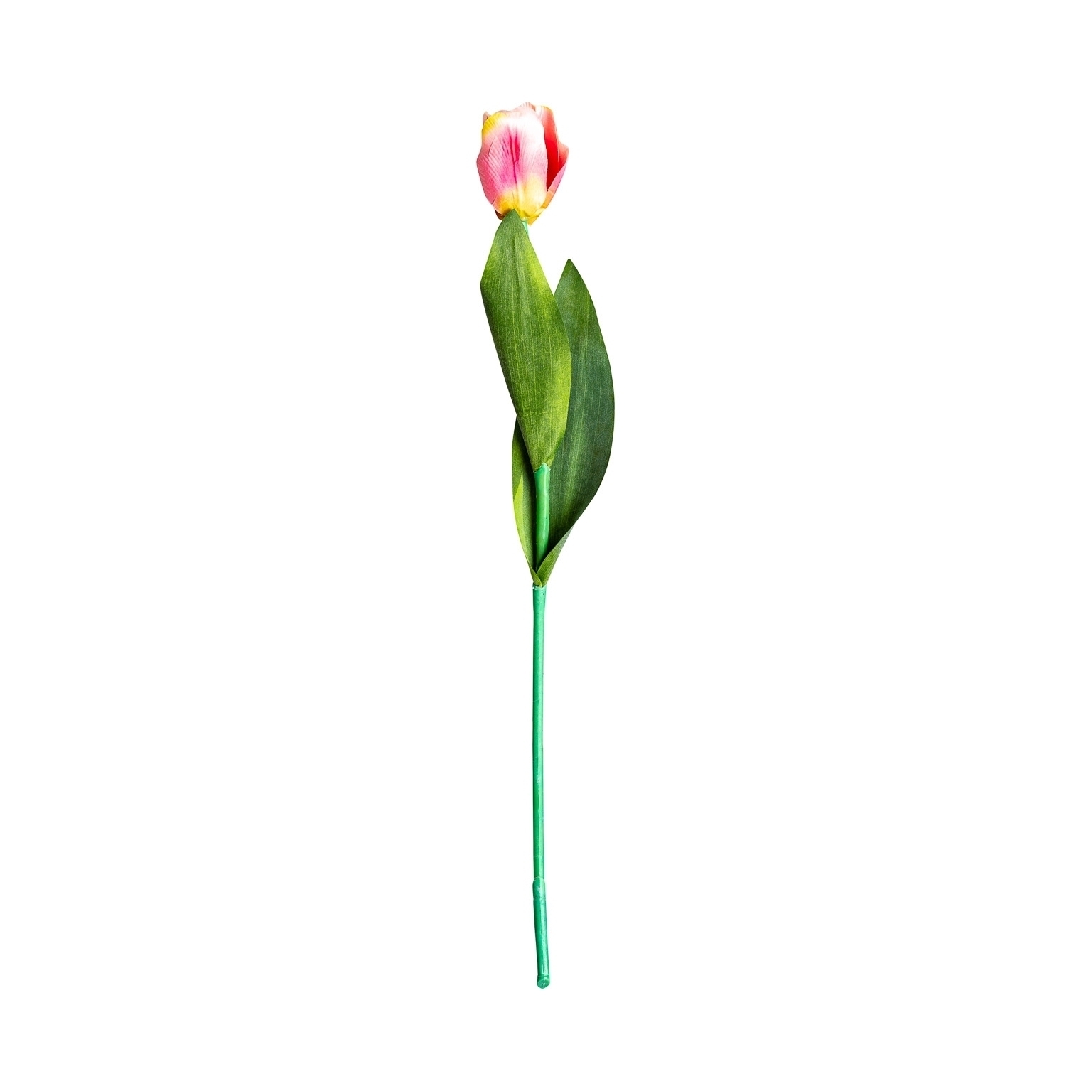 Цветок TULIPAN в розовом цвете Vical