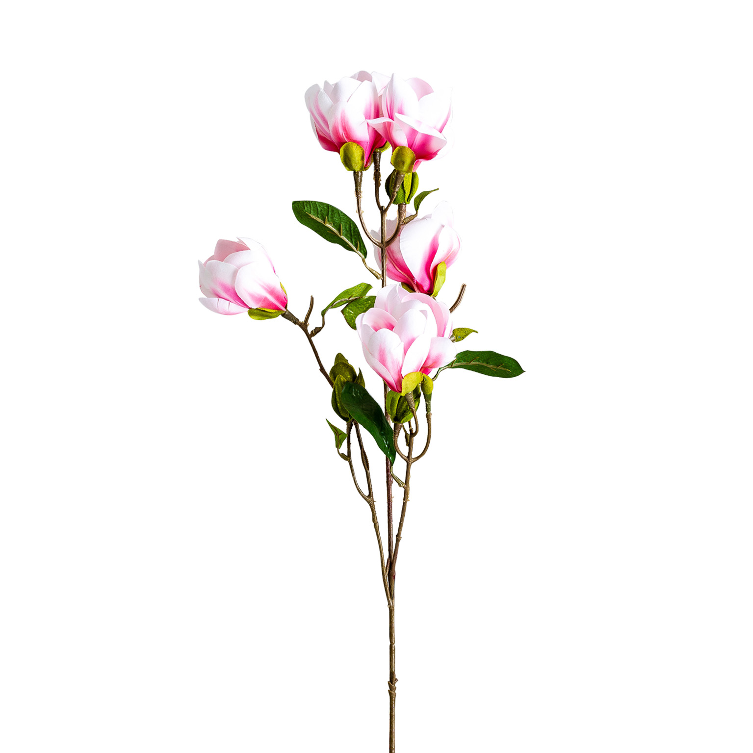 Цветок MAGNOLIA Vical