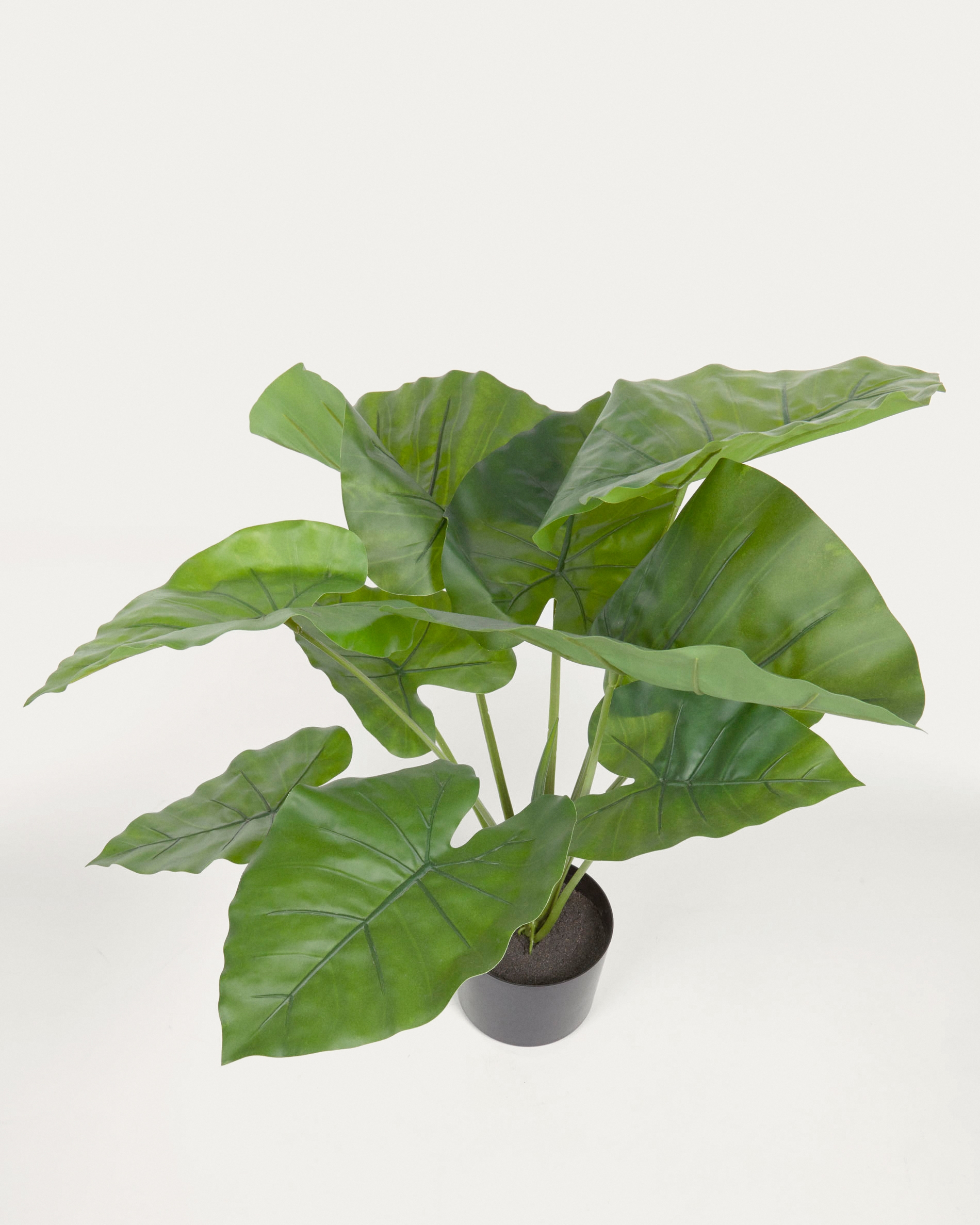 Искусственное растение Alocasia пахучая с черным горшком 57 см La Forma (ex Julia Grup)