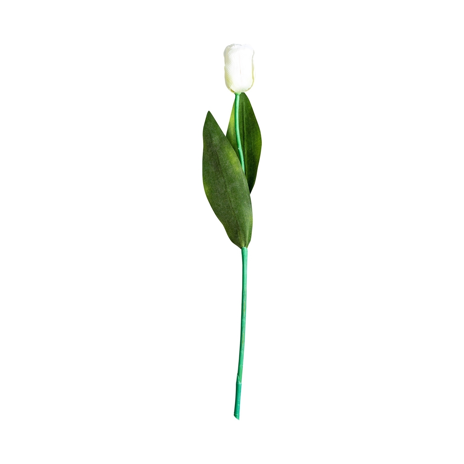 Цветок TULIPAN в белом цвете Vical