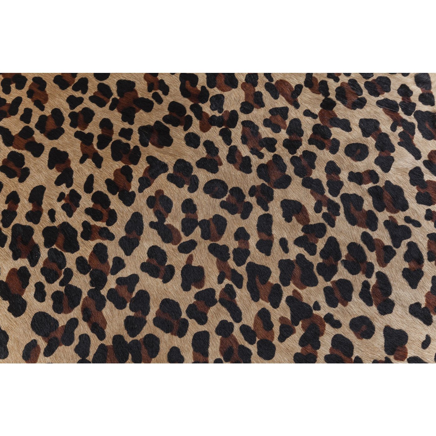 Ковер Leopard 38388 Kare