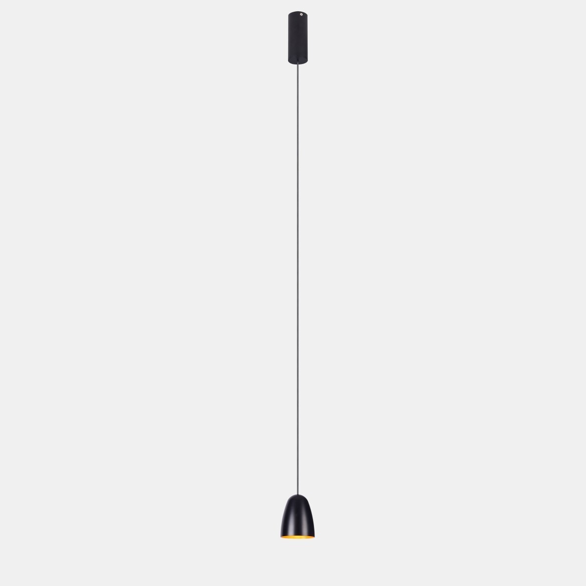 Подвесной светильник Delight Collection P0184-75A Black and Gold