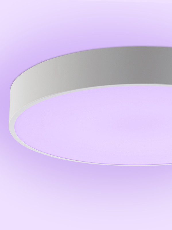Накладной светильник Natali Kovaltseva LED LAMPS 81105/2C