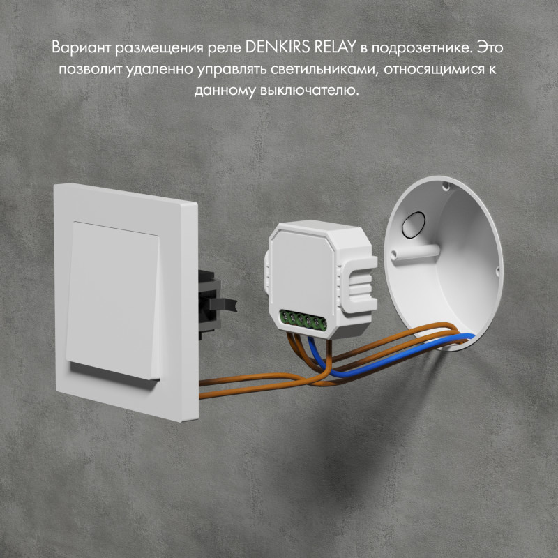 Wi-Fi реле Denkirs RL1001-SM/1