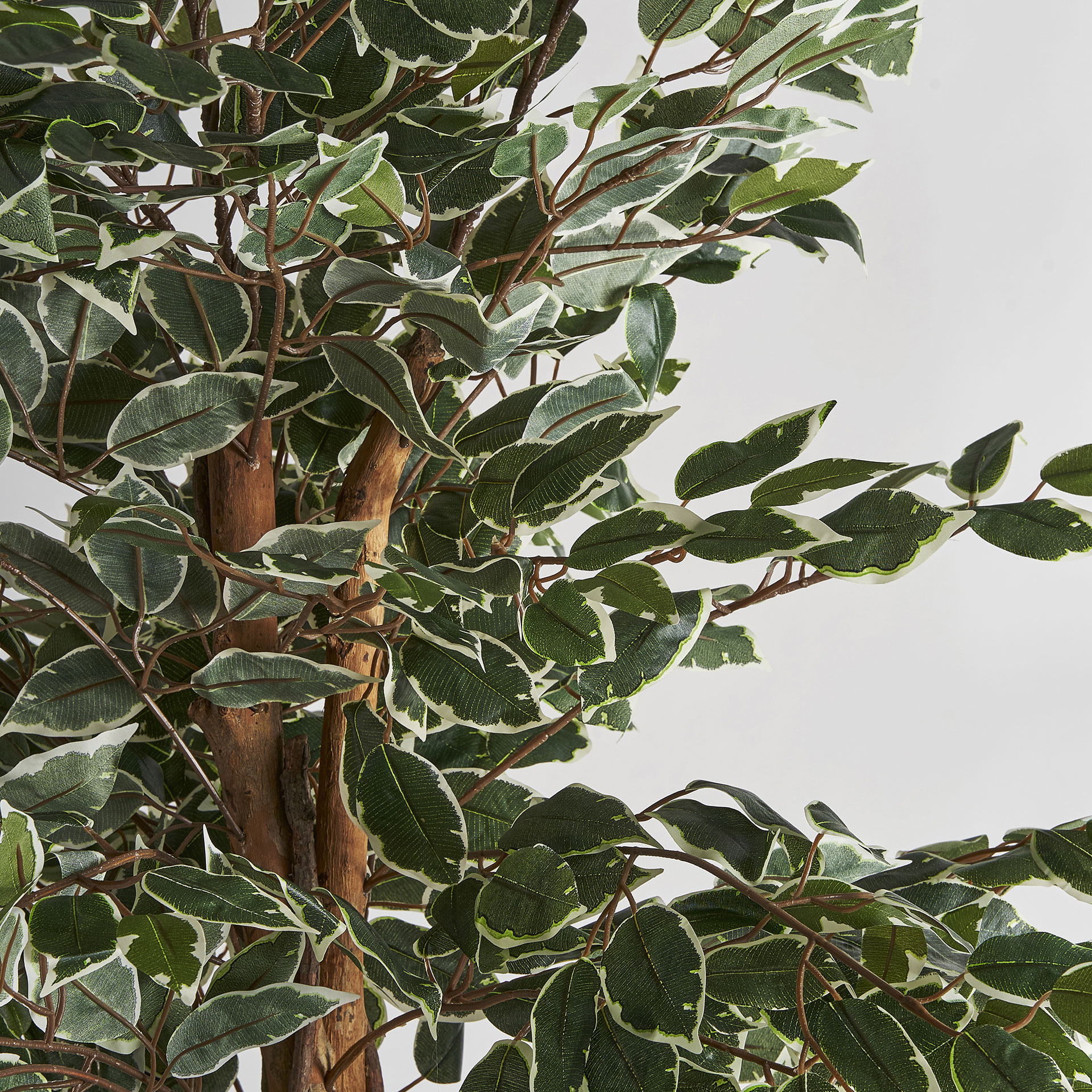 Искусственное растение FICUS Vical
