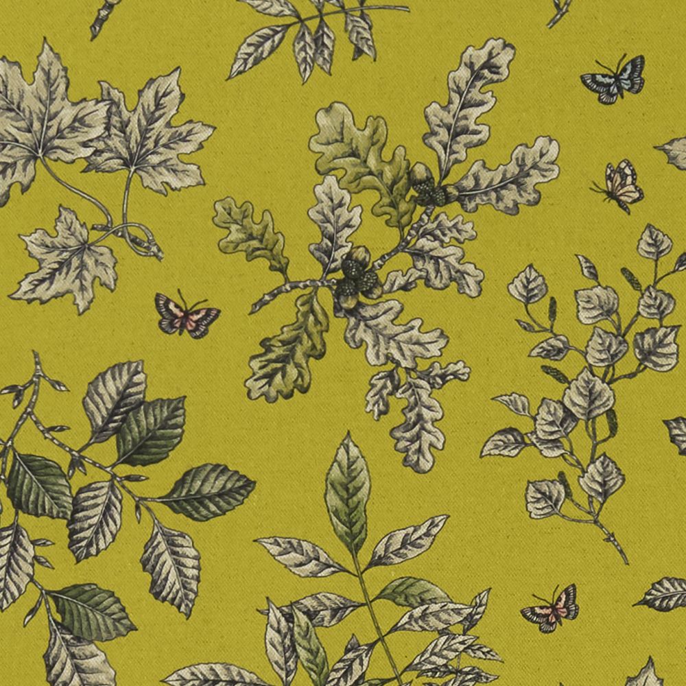 Текстиль Clarke & Clarke Eden F1329/03