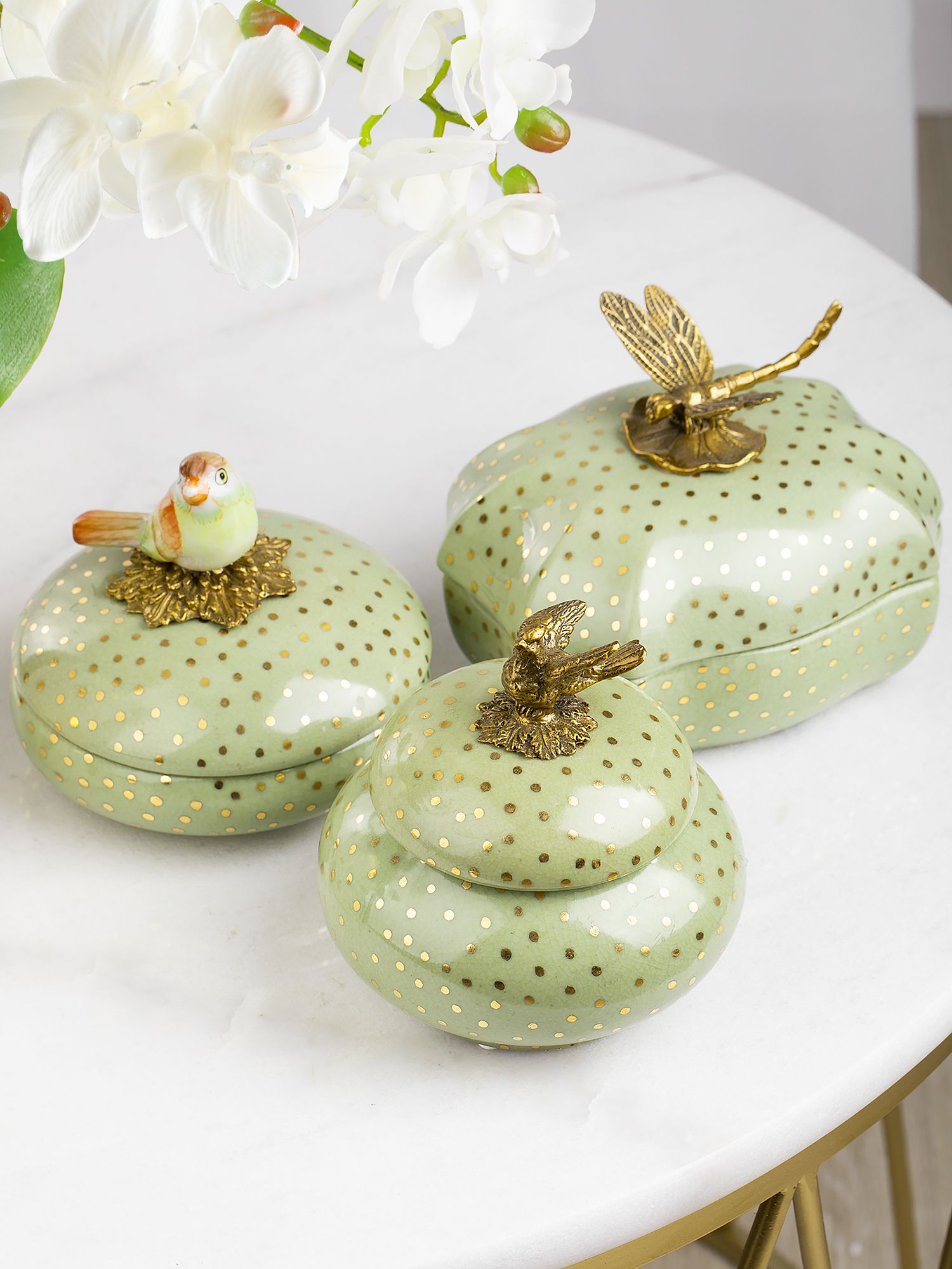 Шкатулка с птичкой Glasar 31G2238/B641C/HLG1921