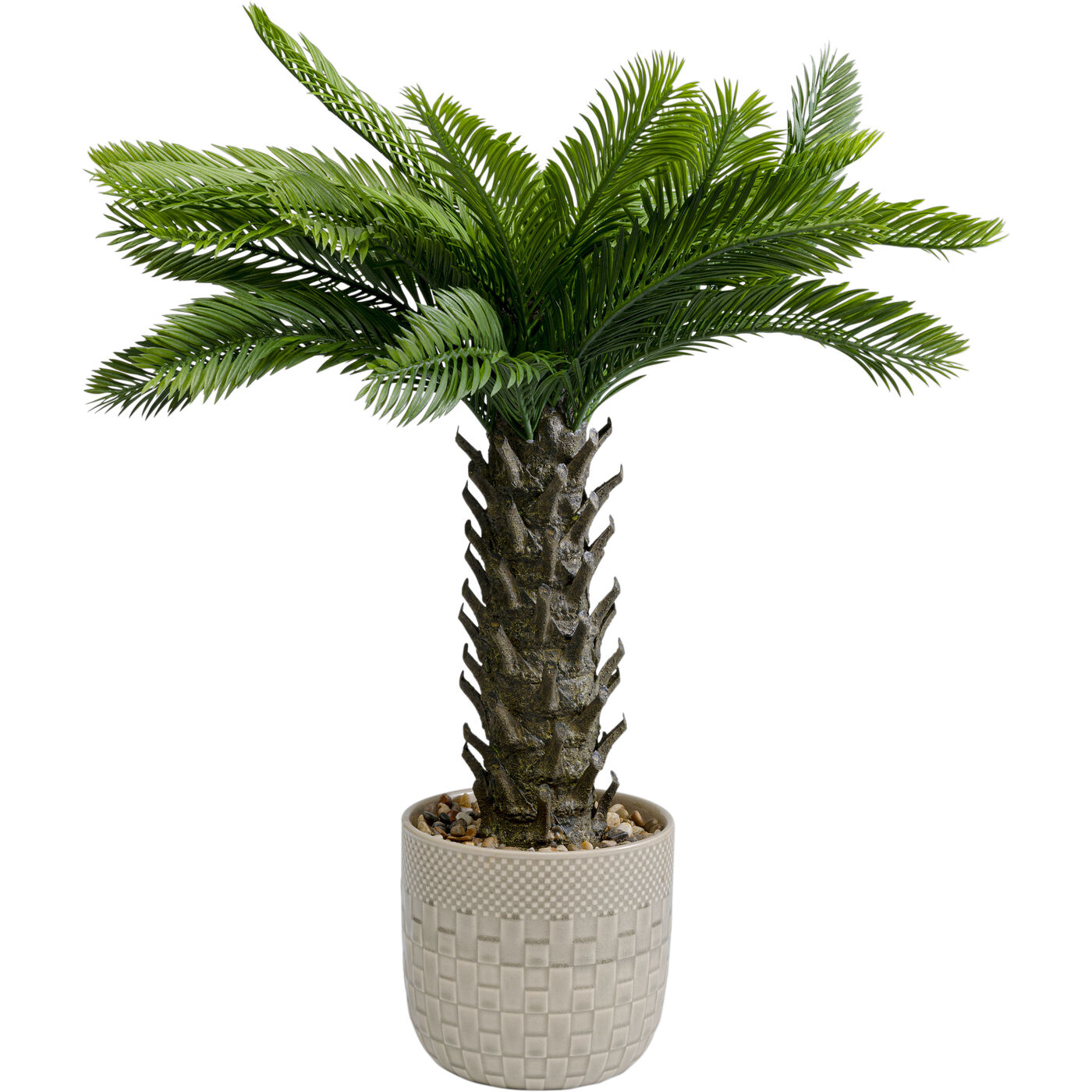 Растение декоративное Cycas 70 см KARE 55918
