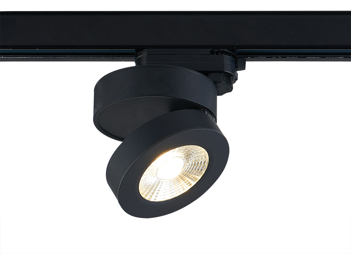 Светодиодный светильник для трехфазной шины Donolux DL18962R12W1BTrack