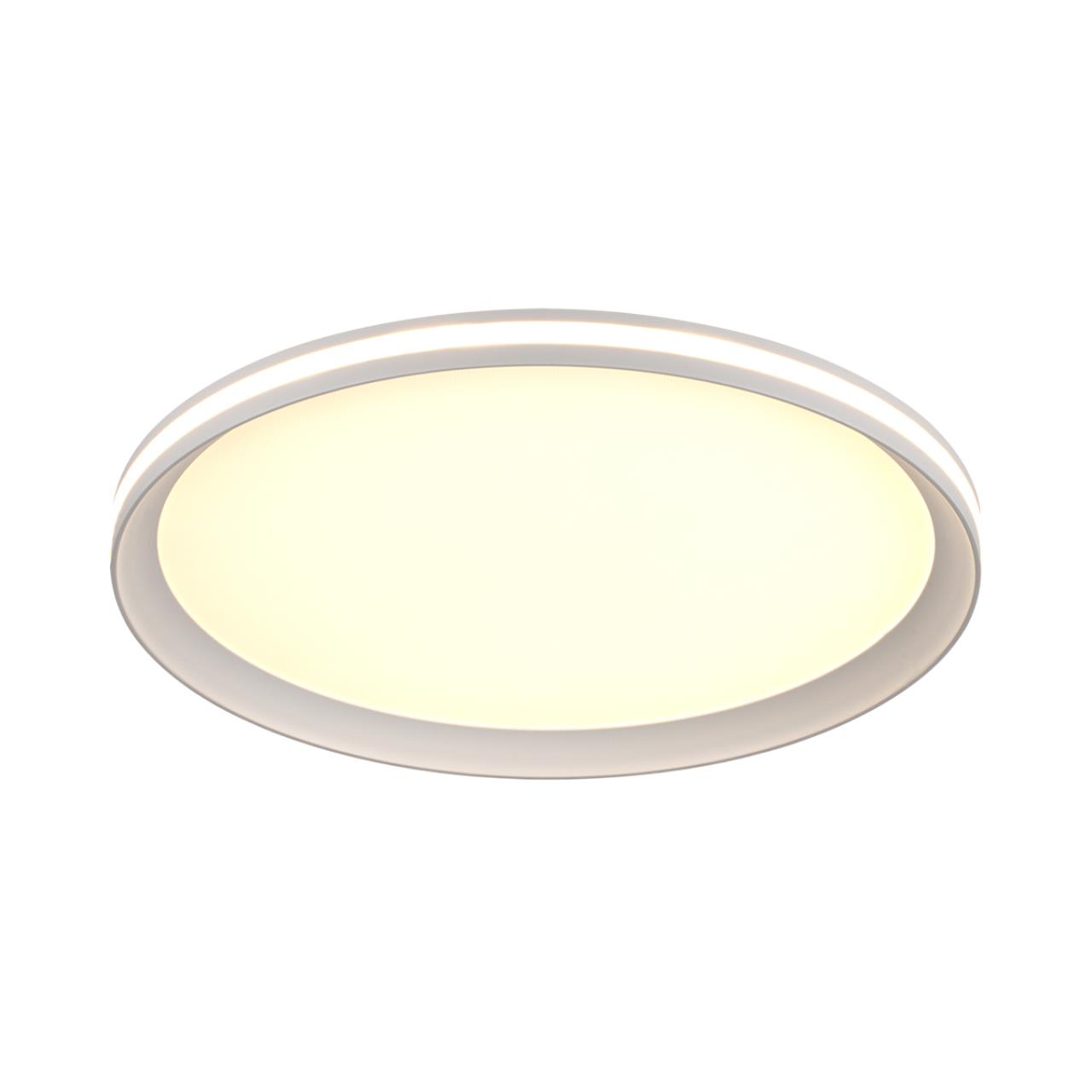 Потолочный светильник Sonex 7749/60L