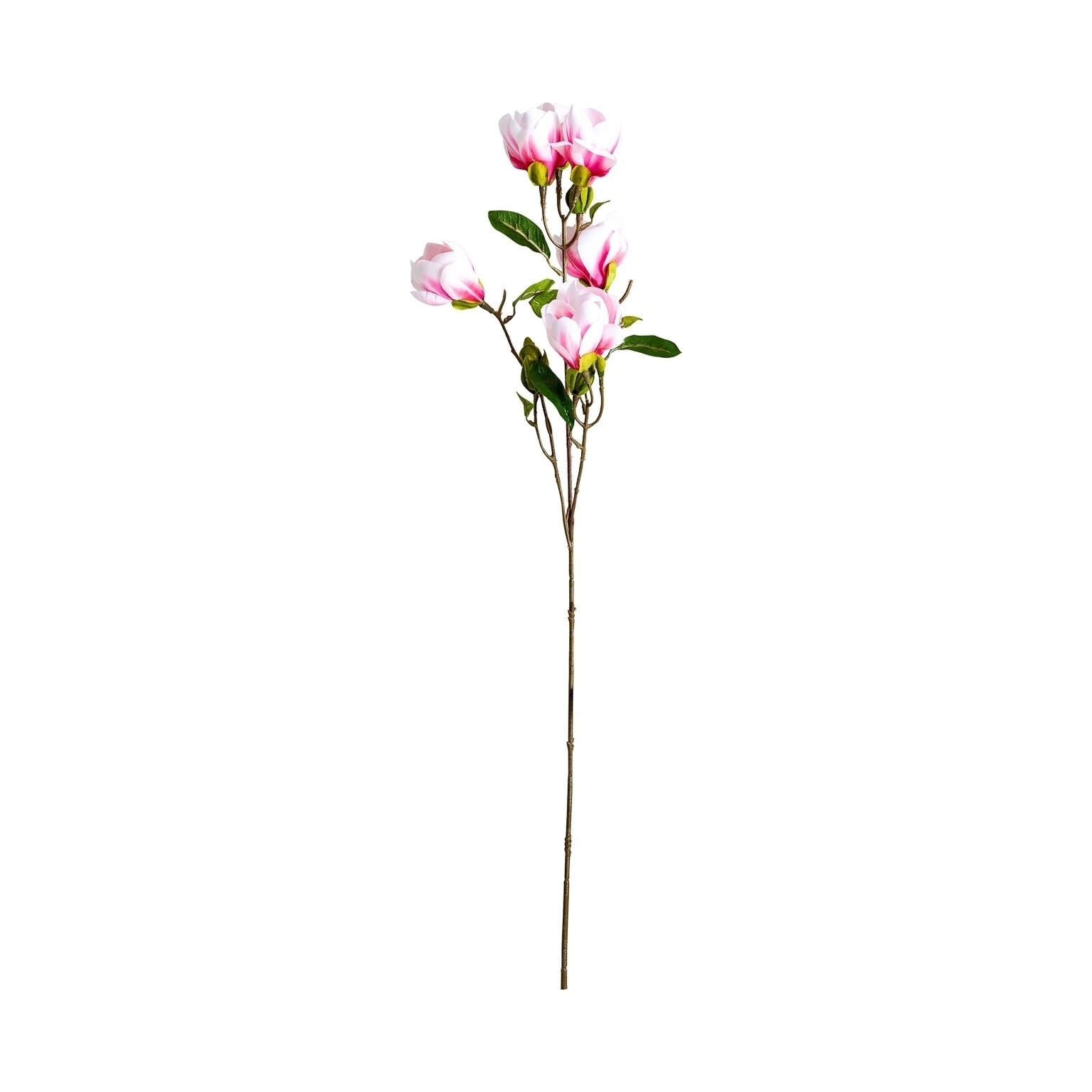 Цветок MAGNOLIA Vical