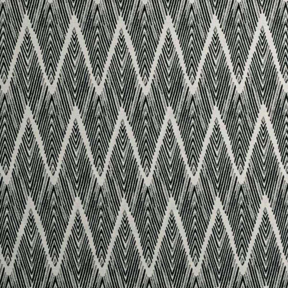 Текстиль Clarke & Clarke Black + White F0895/01
