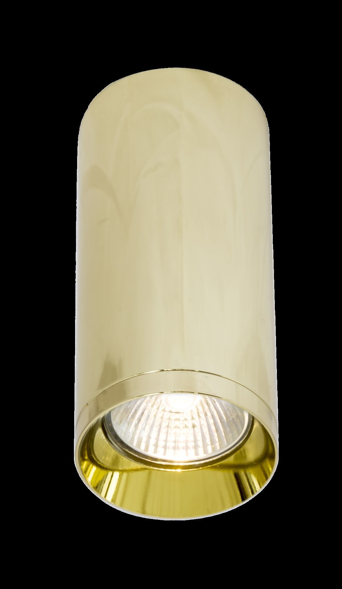 Потолочный светильник Maytoni C010CL-01G