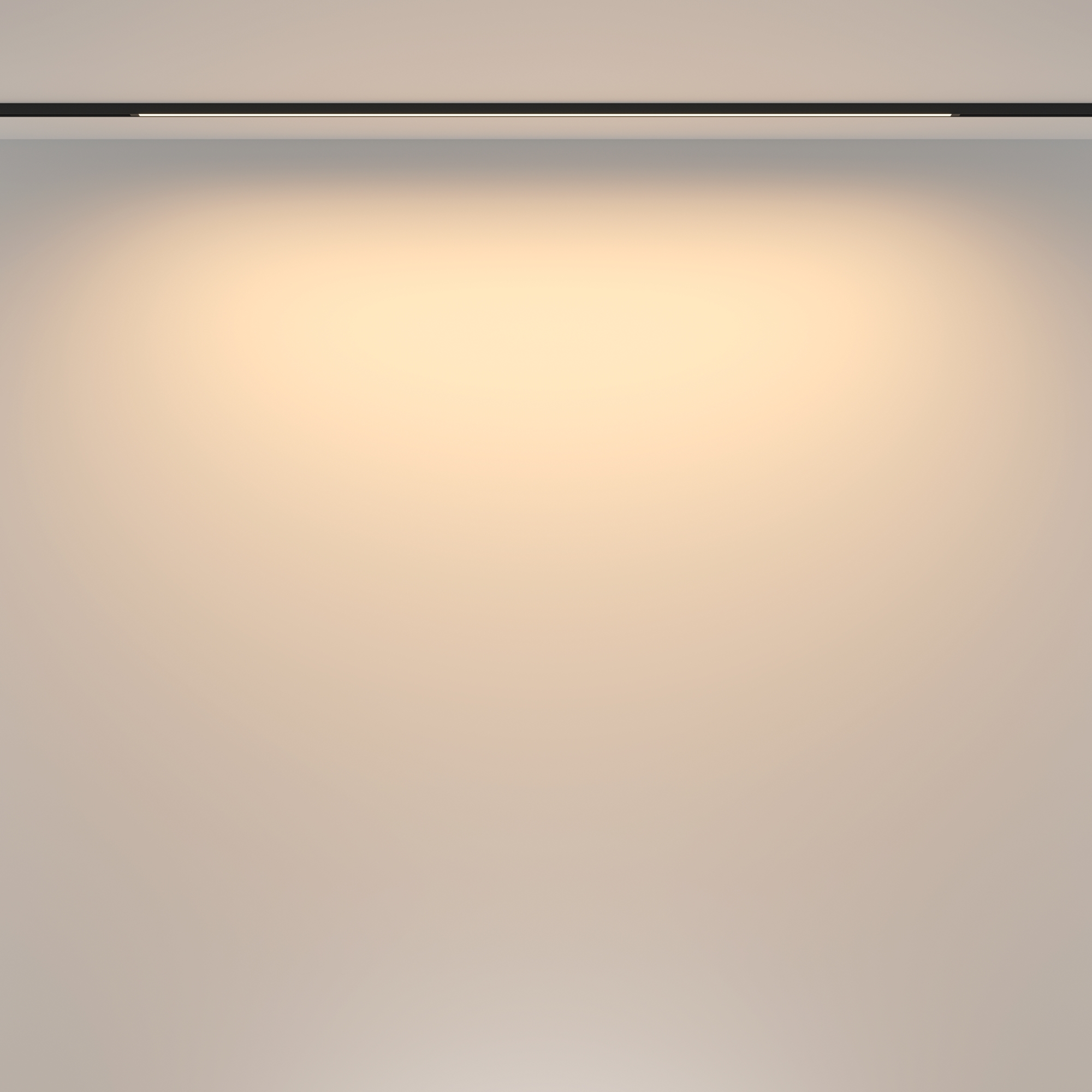 Трековый светильник Technical TR173-1-24WTW-B
