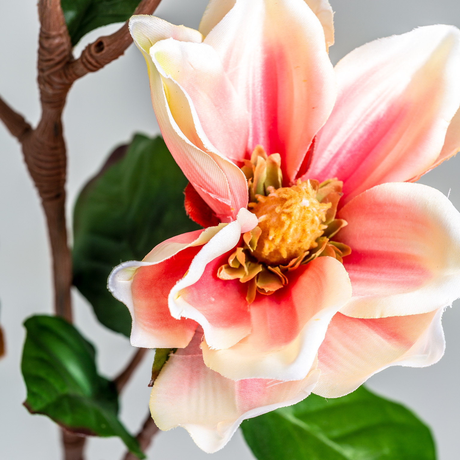 Цветок YULAN Vical