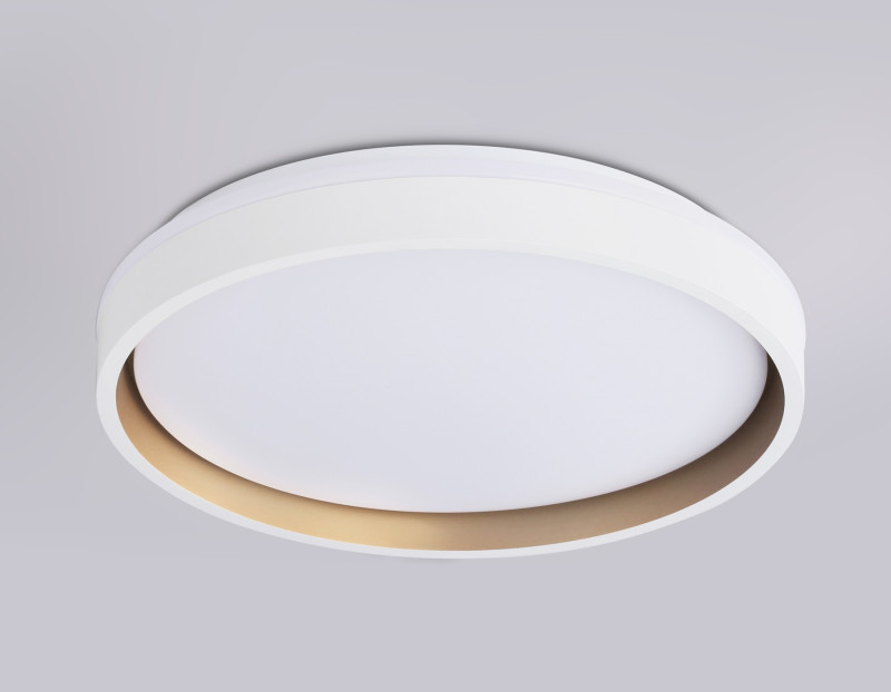 Накладной светильник Ambrella Light FZ601