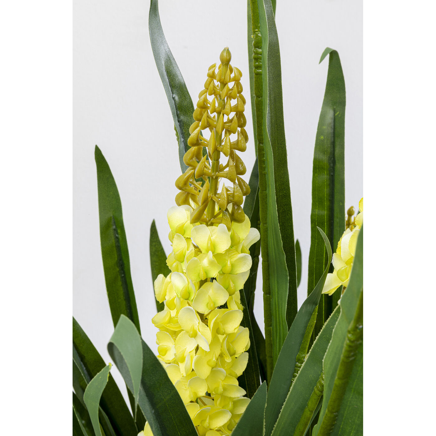 Растение декоративное Rhynchostylis 55 см KARE 55913