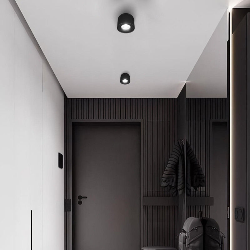 Накладной светильник LOFT IT 10219 Black 4000K