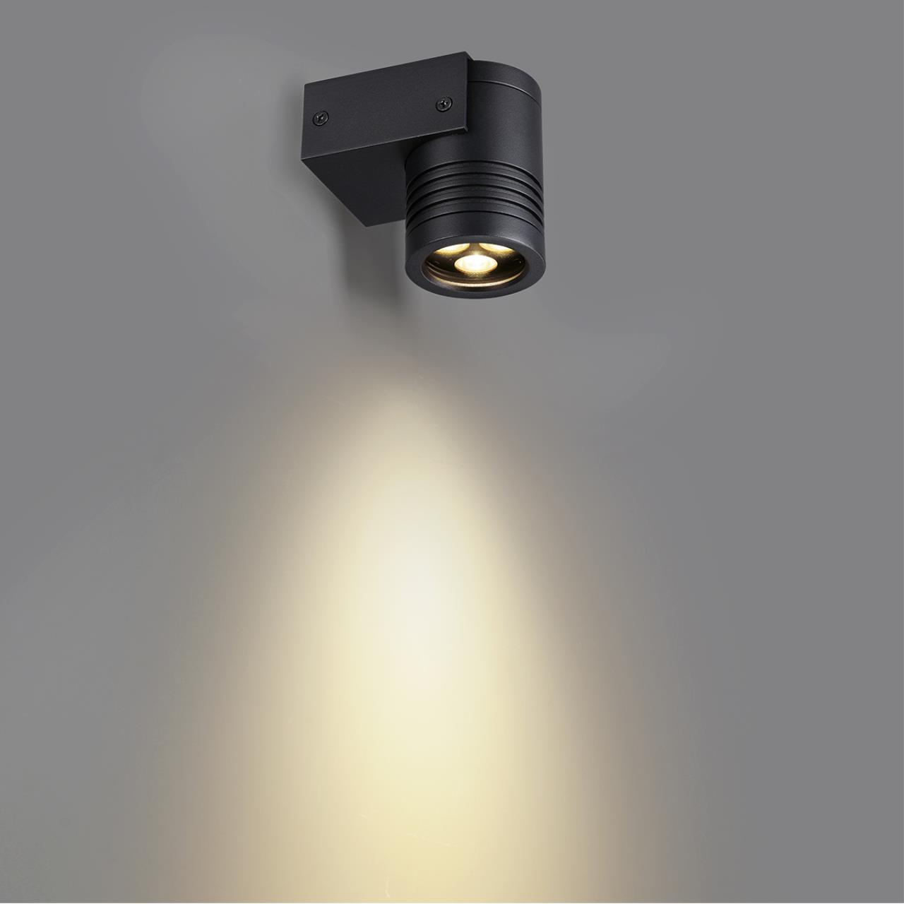 Фасадный светильник Odeon Light 6648/6WL3