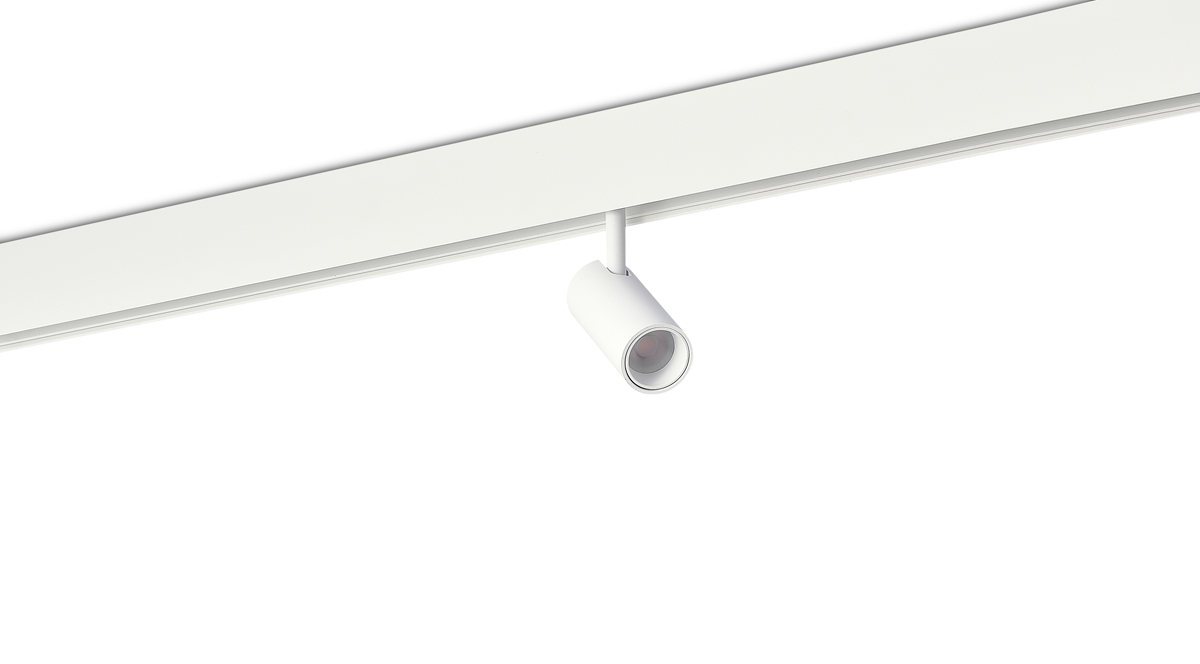 Светодиодный светильник Donolux DL20295WW5WND