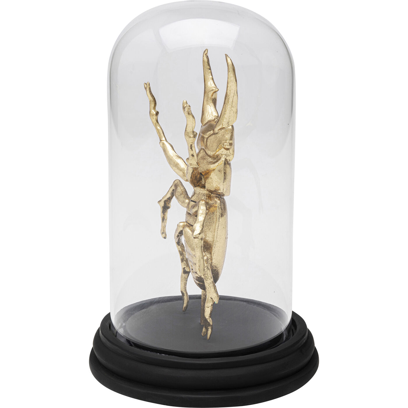 Объект декоративный Bell Jar Hercules Beetle 20cm KARE 57720