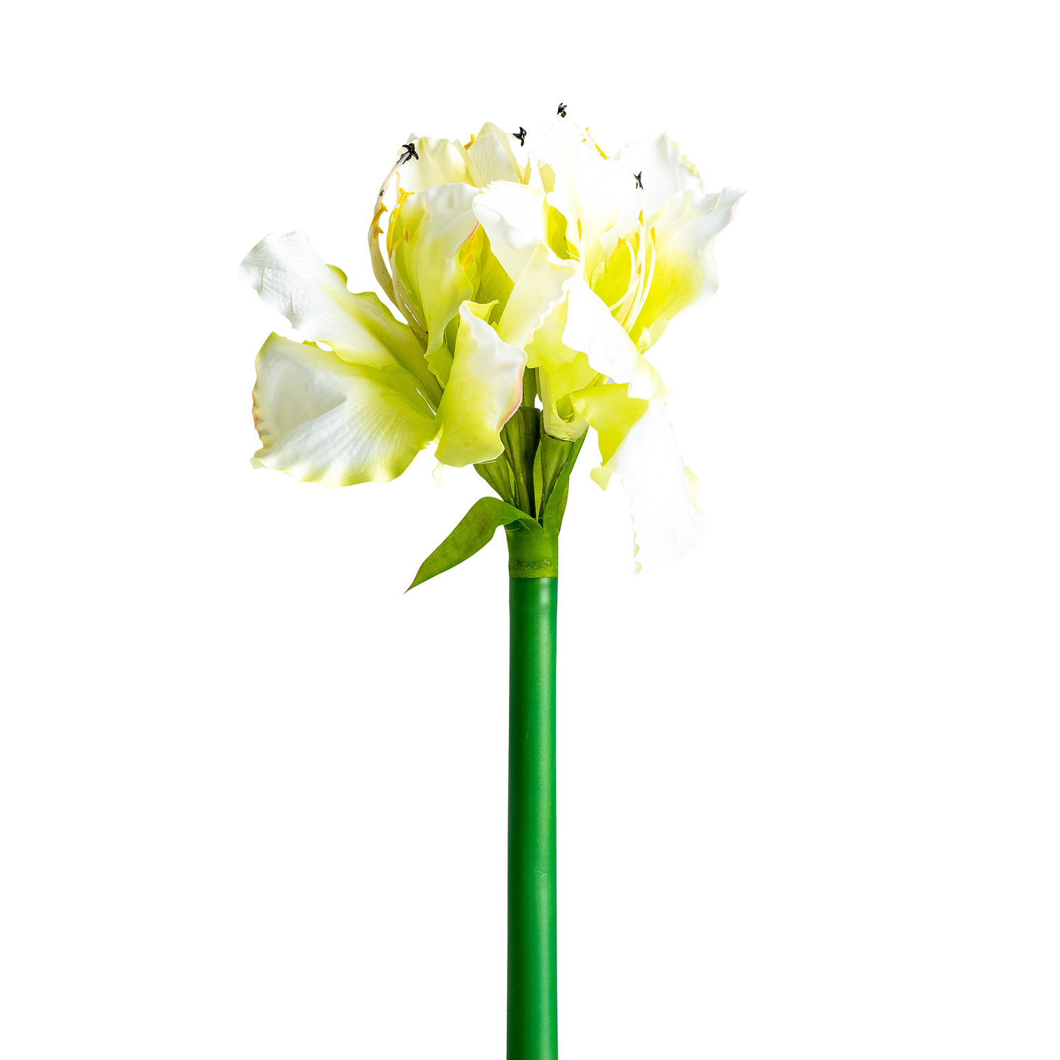 Цветок AMARYLLIS цвет белый Vical