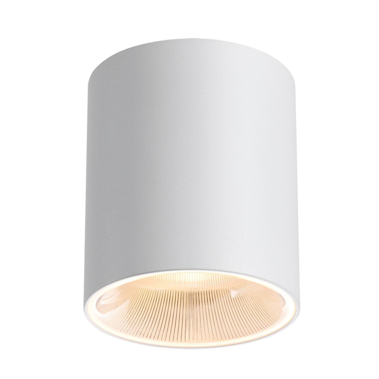 Потолочный светильник Odeon Light 7139/12CL