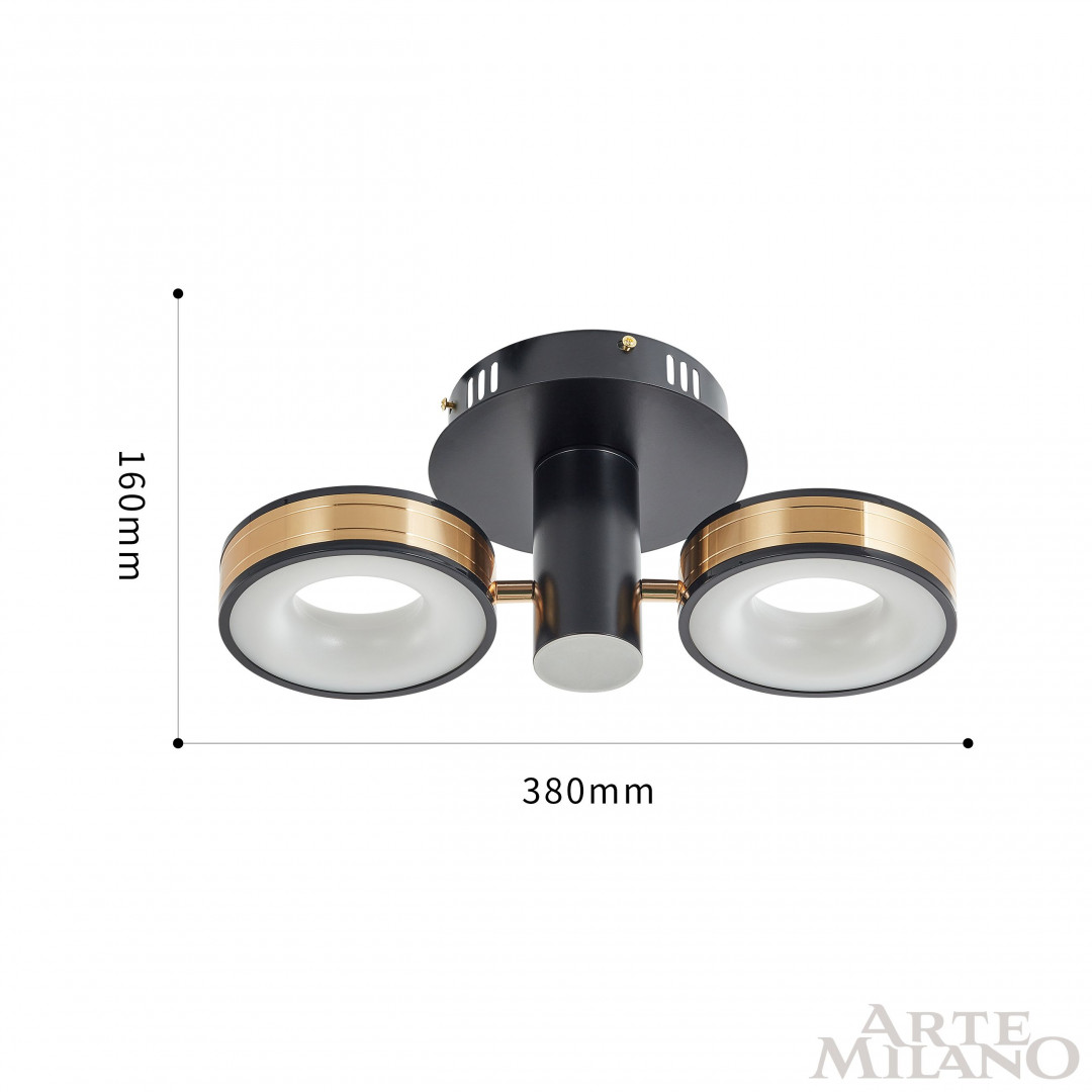 Светильник светодиодный 271040/2R BK/GD Arte Milano