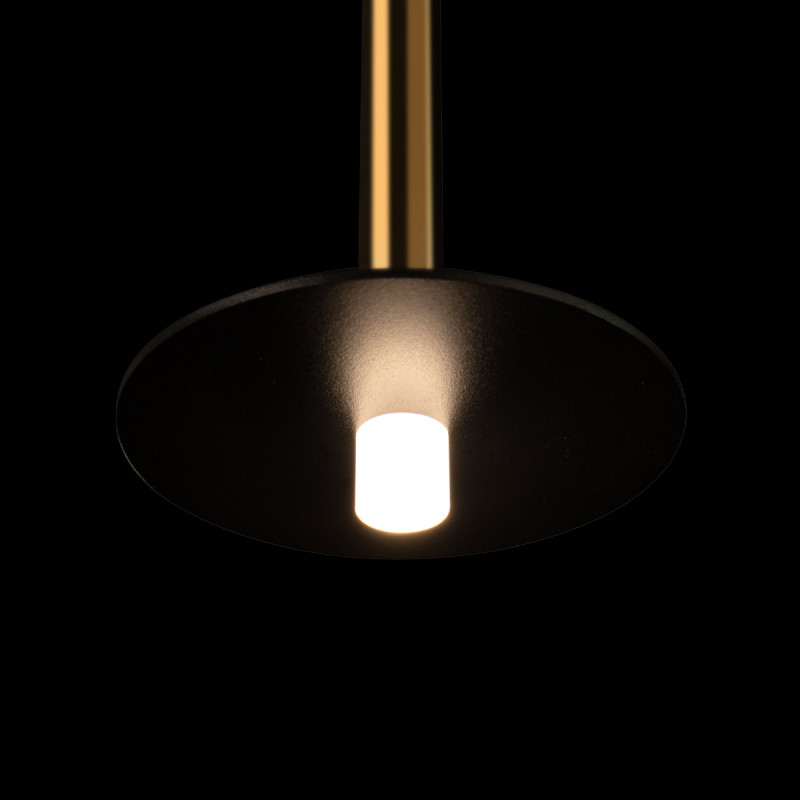 Подвесной светильник LOFT IT 10358/830 Disk AB