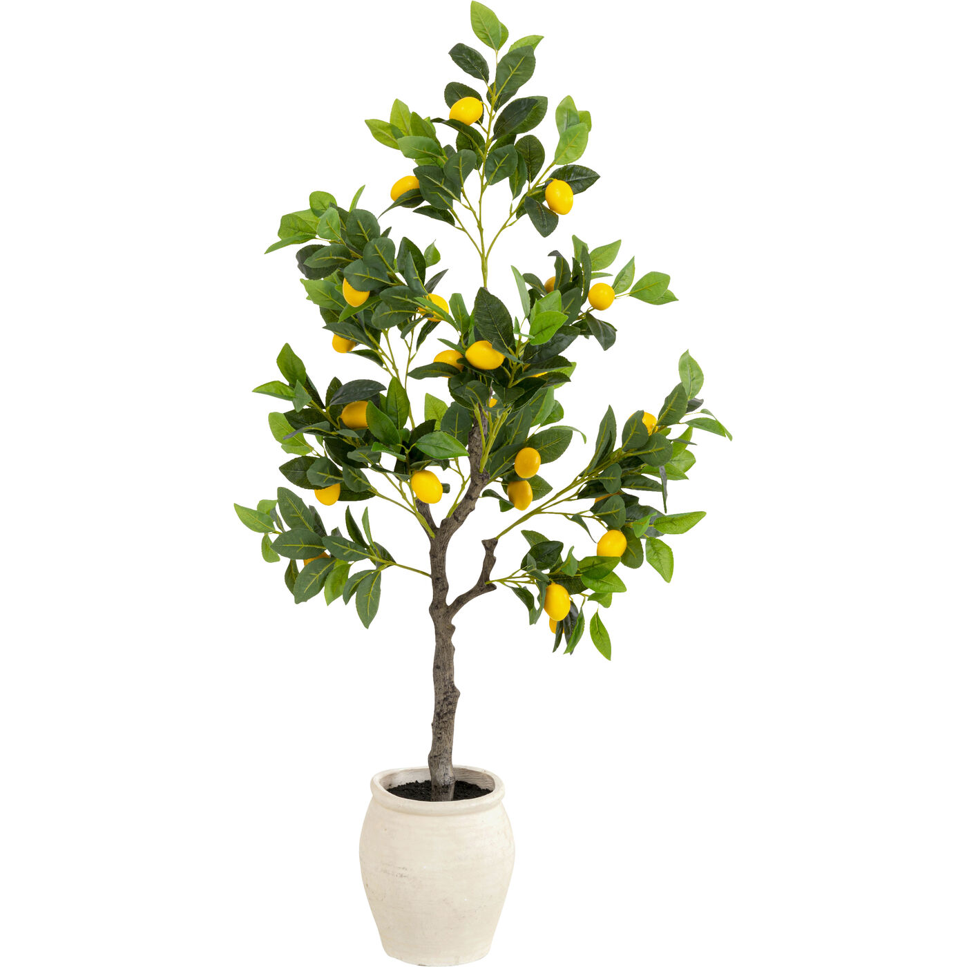 Растение декоративное Lemon Tree 120cm KARE 58352