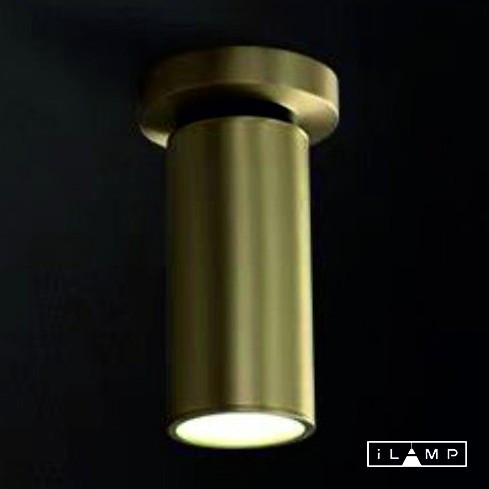 Спот iLamp 8861C BR-BK
