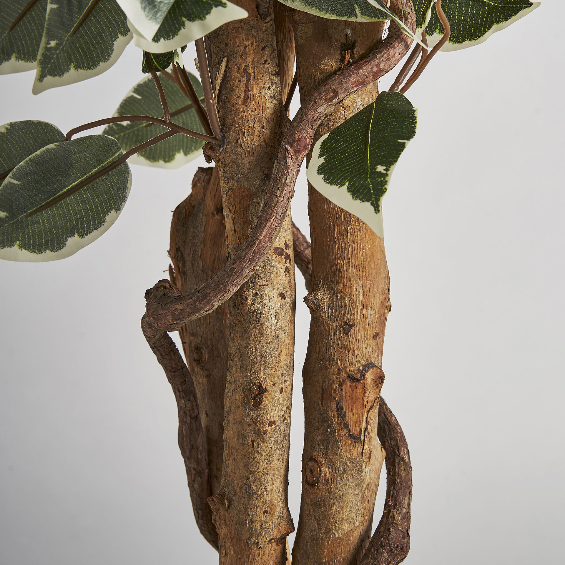 Искусственное растение FICUS Vical