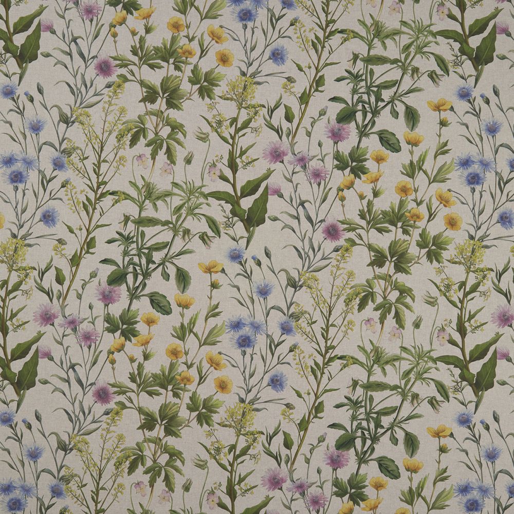 Текстиль Clarke & Clarke Country Garden F1146/01