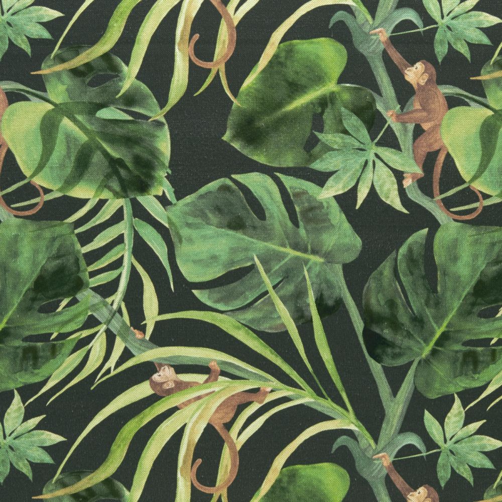 Текстиль Clarke & Clarke Exotica 2 F0998/01