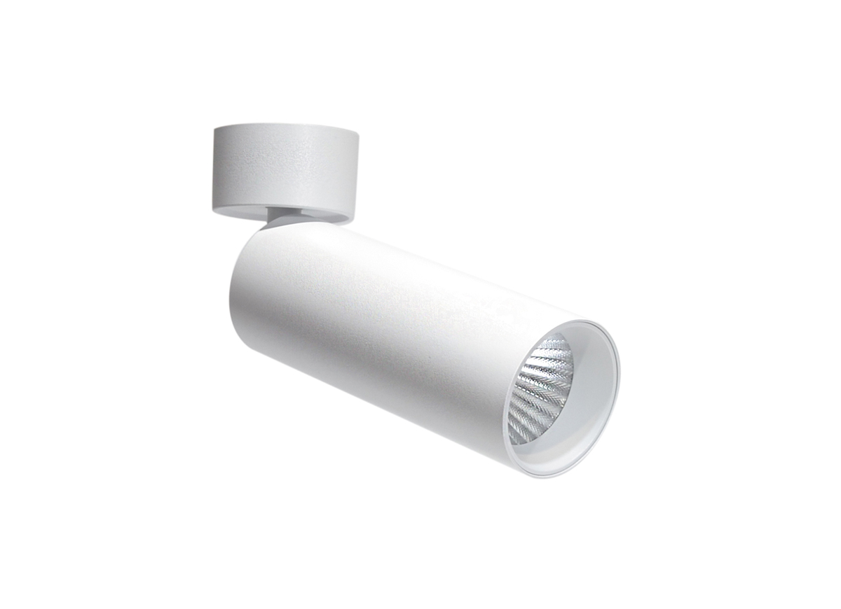Накладной поворотный светодиодный светильник Donolux DL18895R20W1W ST