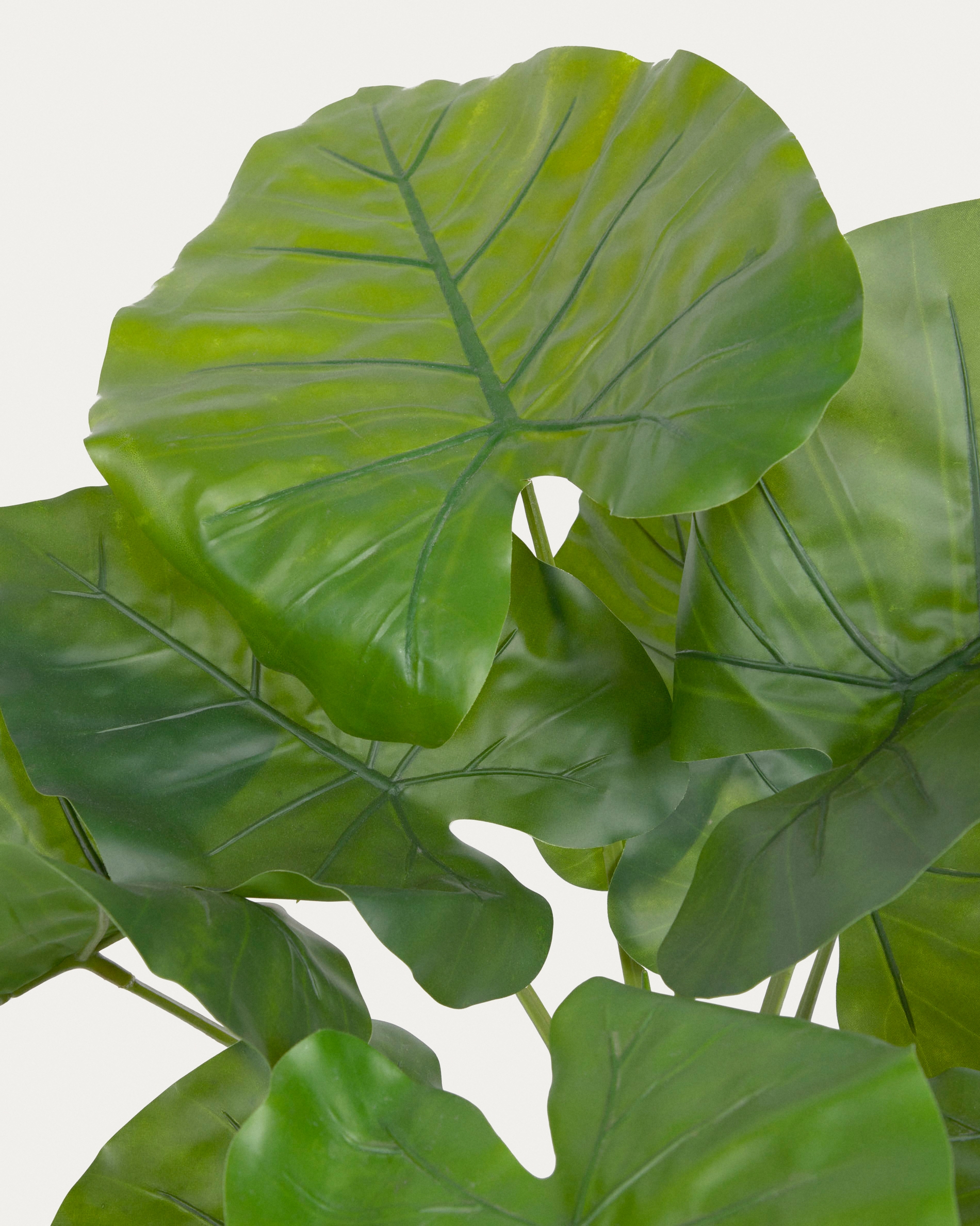 Искусственное растение Alocasia пахучая с черным горшком 57 см La Forma (ex Julia Grup)
