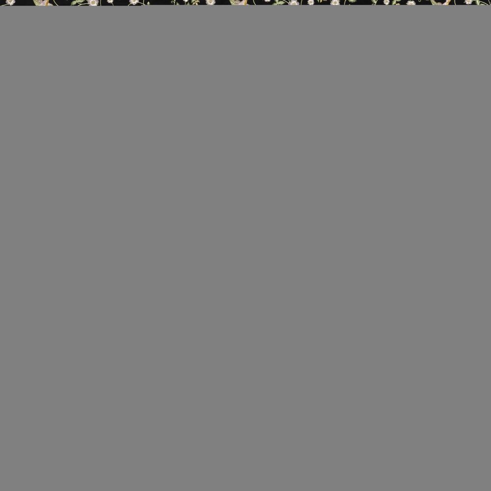 Текстиль Clarke & Clarke Botanical Wonders Fabric F1582/01