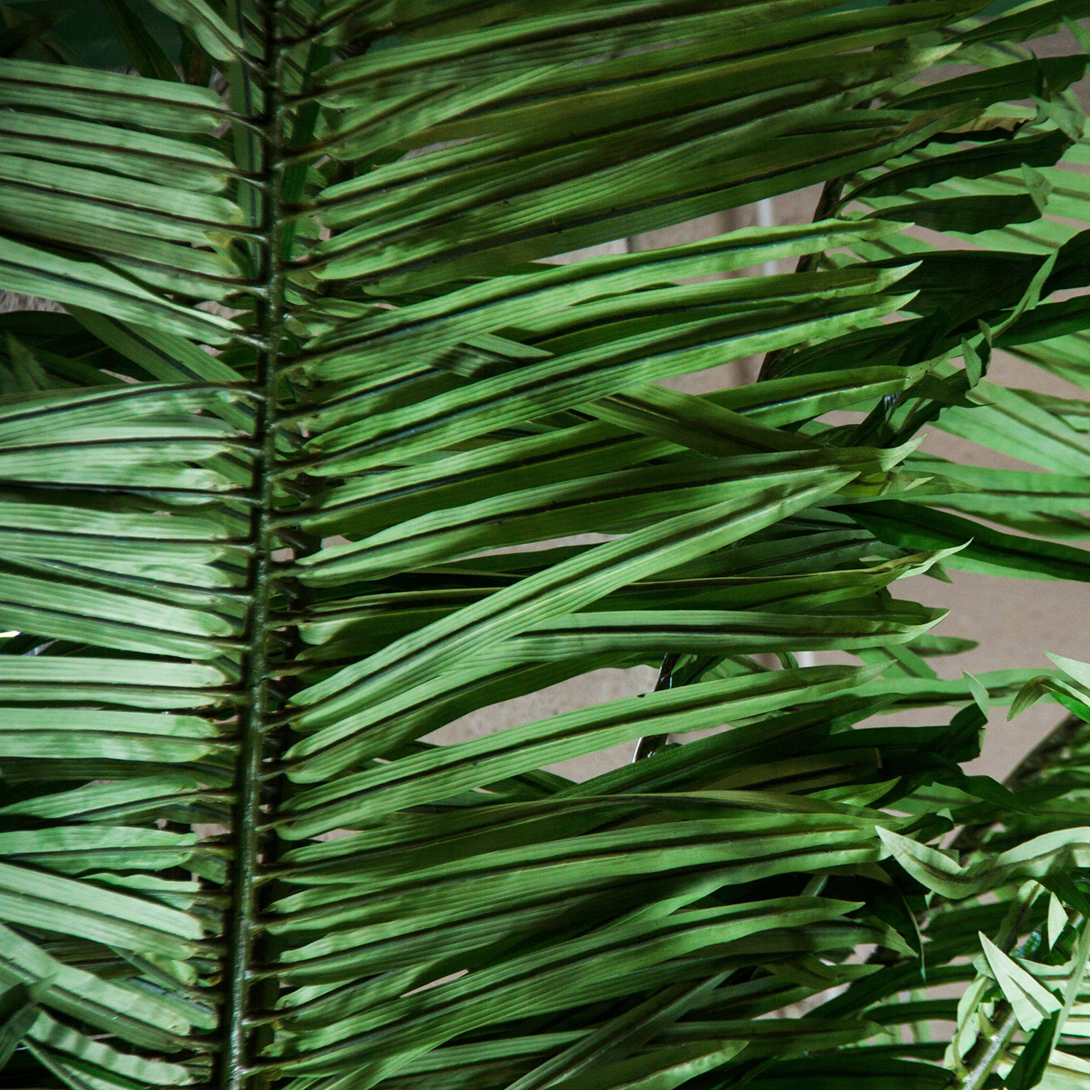 Пальма PALMERA Vical