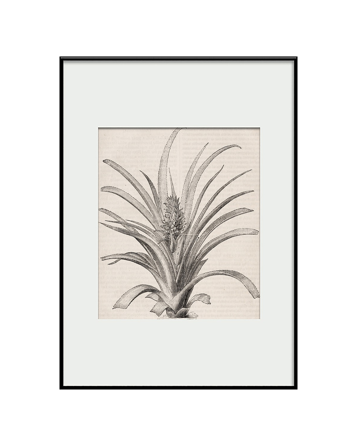 Интерьерный постер “Pineapple” Louvre Home PP230225