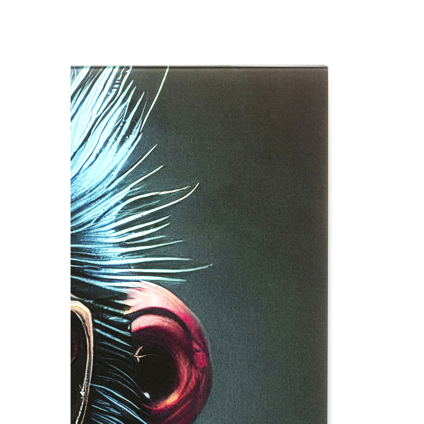 Картина стеклянная Fashion Gorilla 60x80 см KARE 57009
