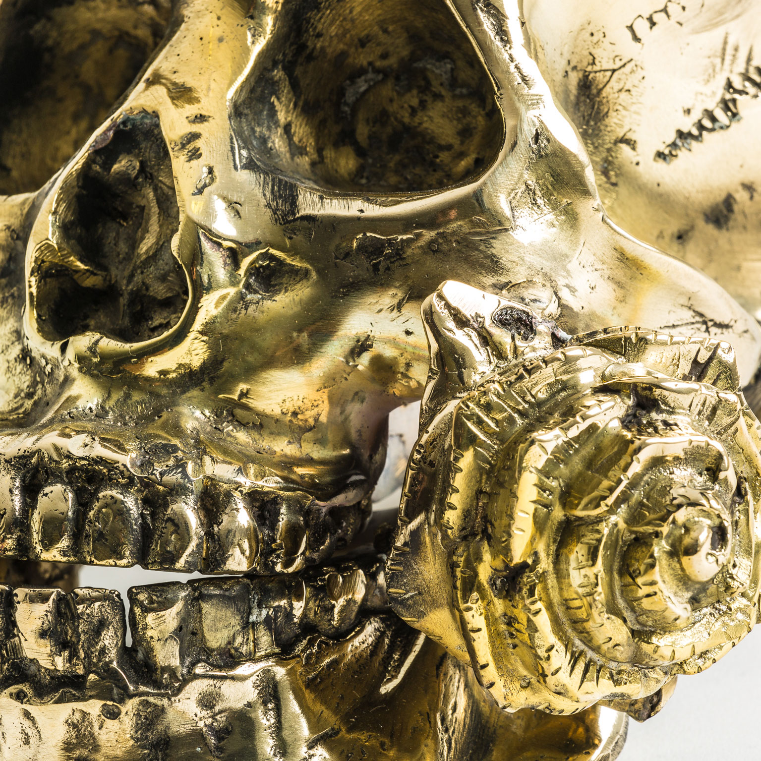 Бюст череп в короне CALAVERA Vical
